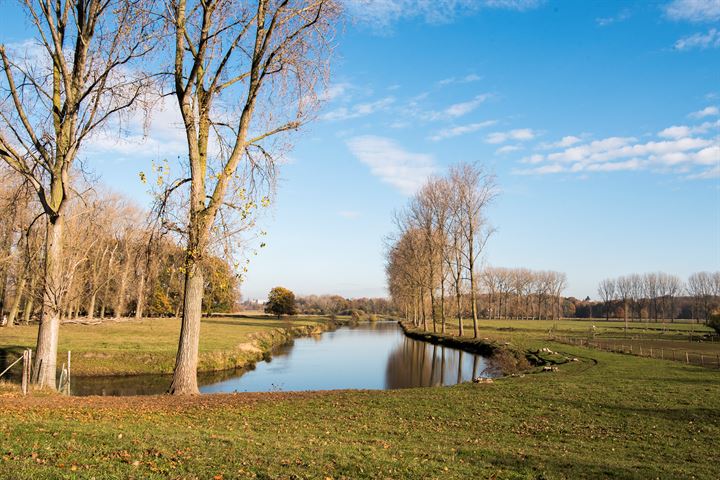 Bekijk foto 5 van Molenbergweg