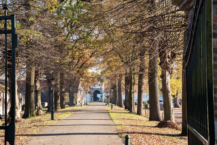 Bekijk foto 6 van Molenbergweg