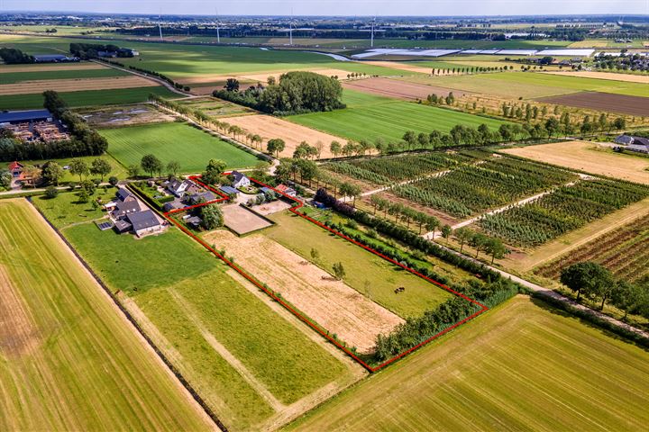 Bekijk foto 4 van Hoogmeien 20