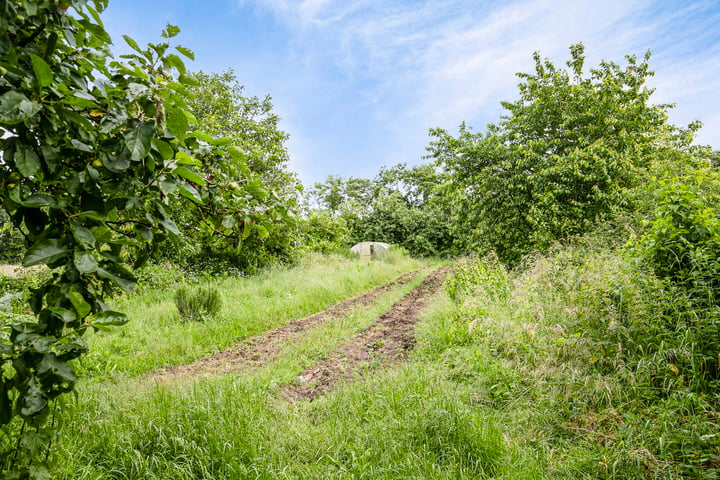 Bekijk foto 108 van Augustinusweg 34