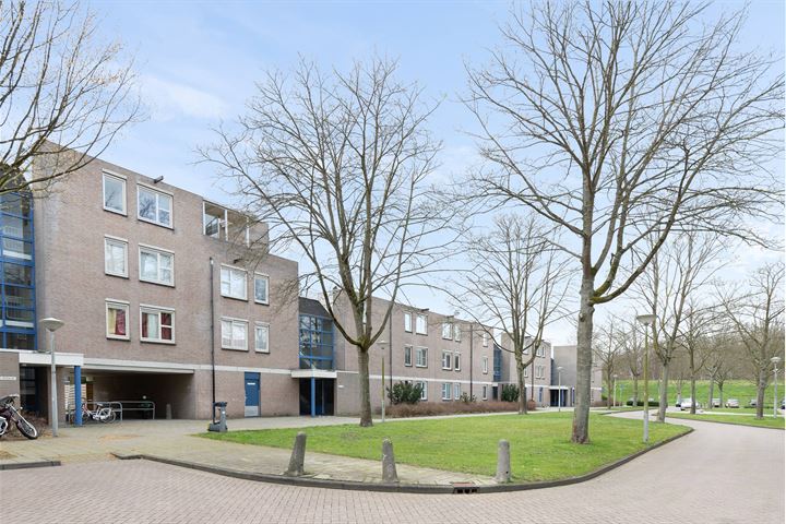 Bekijk foto 16 van Wamelstraat 22