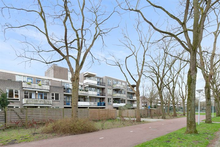 Bekijk foto 17 van Wamelstraat 22