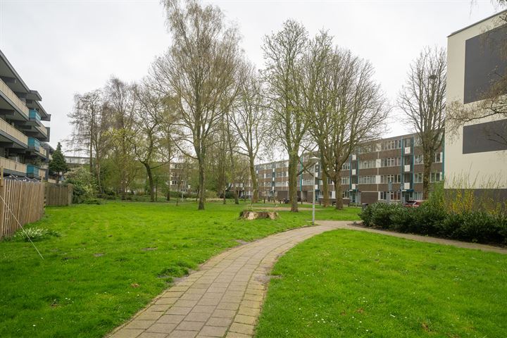 View photo 21 of Grootzeilhof 142