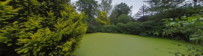 Bekijk 360° foto van achtertuin van Hobbel 10