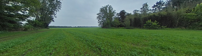 Bekijk 360° foto van achtertuin van Hobbel 10