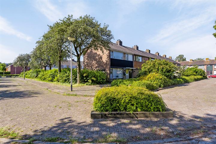 Bekijk foto 19 van Pieter de Hooghstraat 1