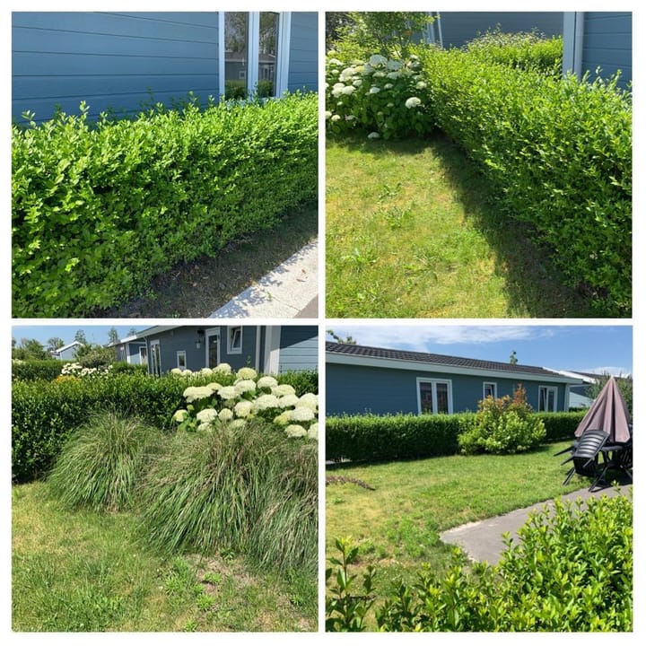 Foto 5 van Hulckesteijn 3-026