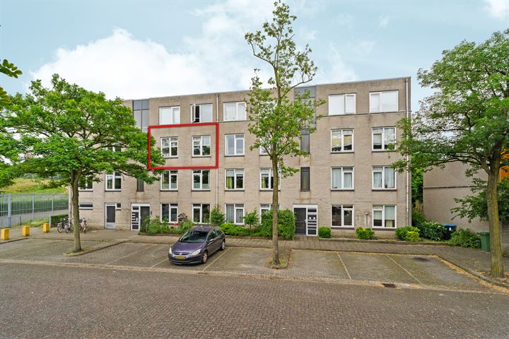 View photo 22 of Ridderspoor 128