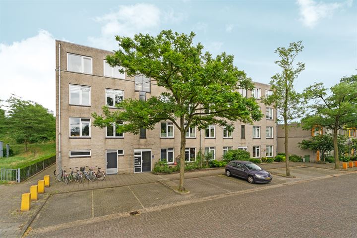 View photo 23 of Ridderspoor 128