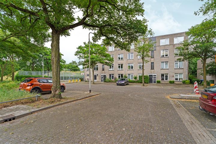 View photo 24 of Ridderspoor 128