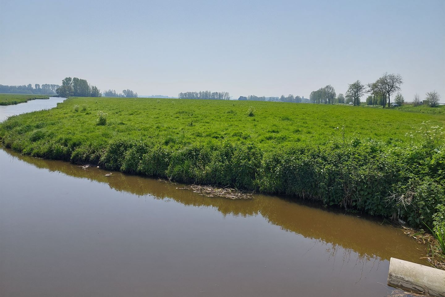 Bekijk foto 4 van Cultuurgrond aan Dr. Kortmannstraat