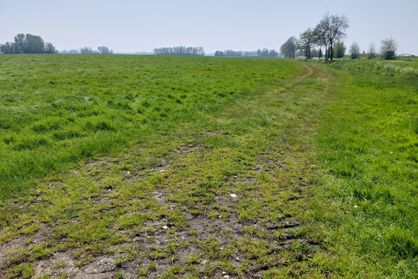 Bekijk foto 3 van Cultuurgrond aan Dr. Kortmannstraat