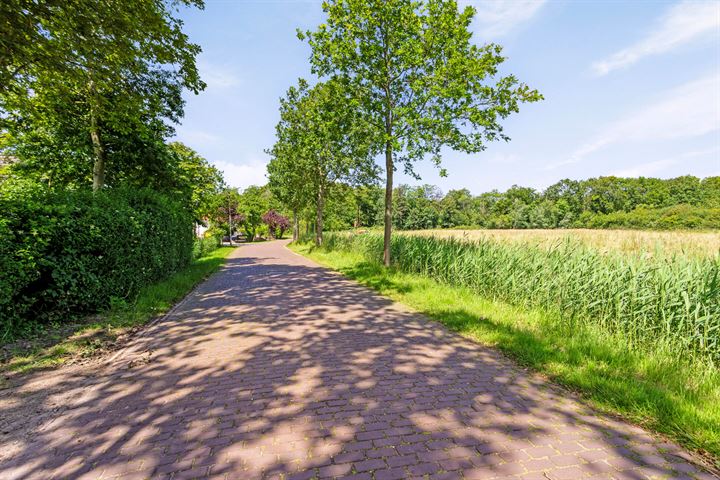 View photo 47 of Oude Domburgseweg 28