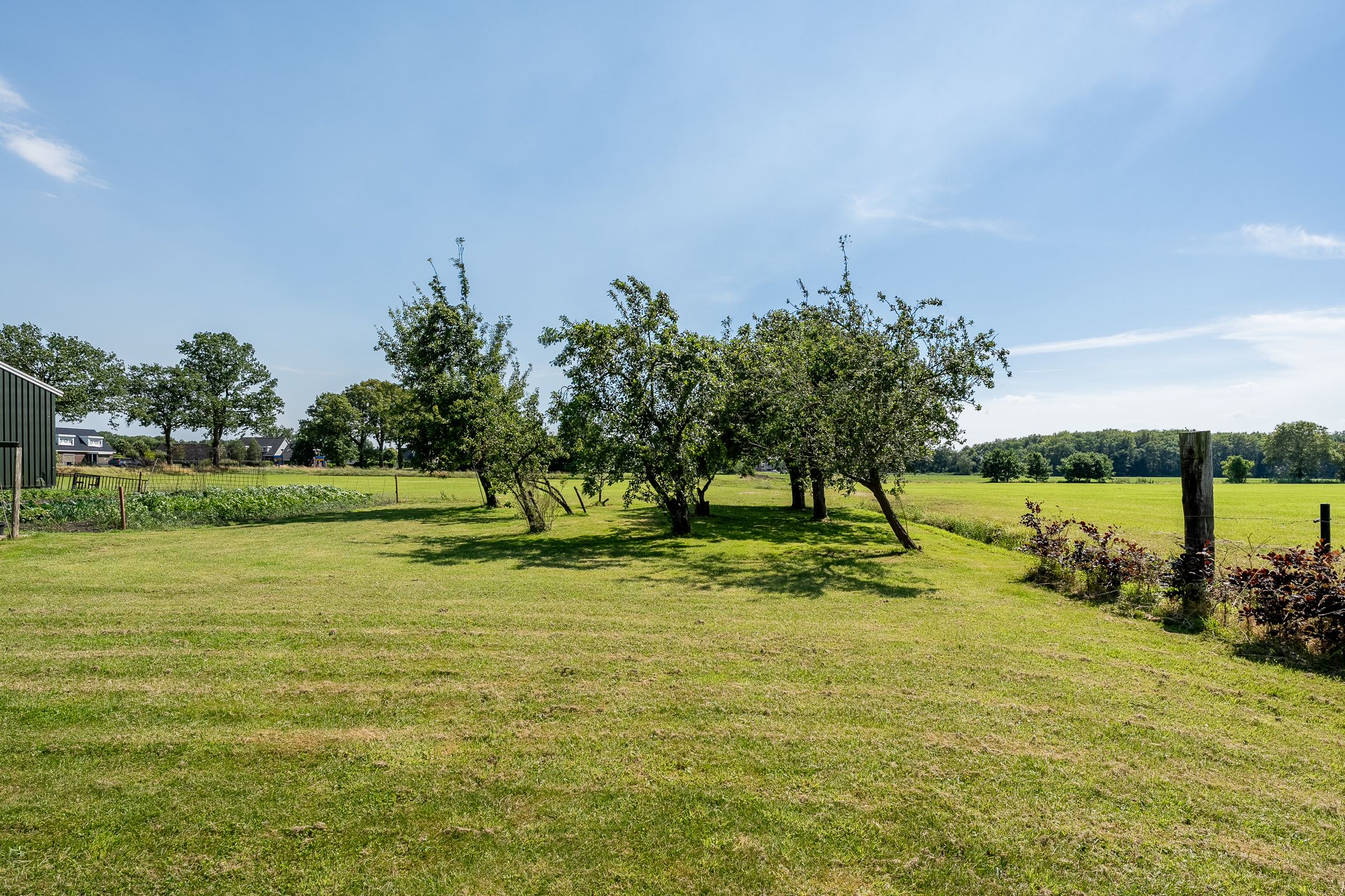 Foto 9 van Middenraai 55