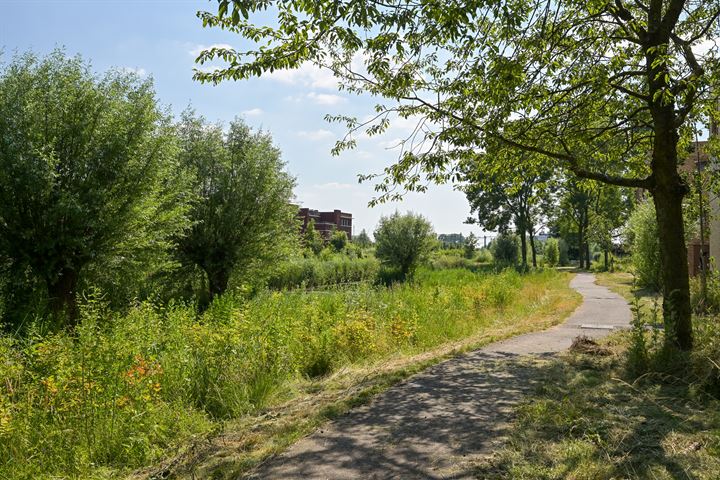 View photo 19 of Boekweitkamp 123