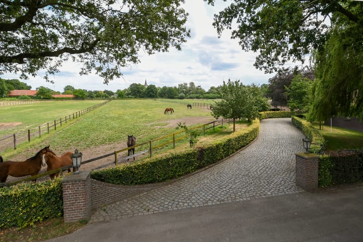 Foto 9 van Eikesstraat 43