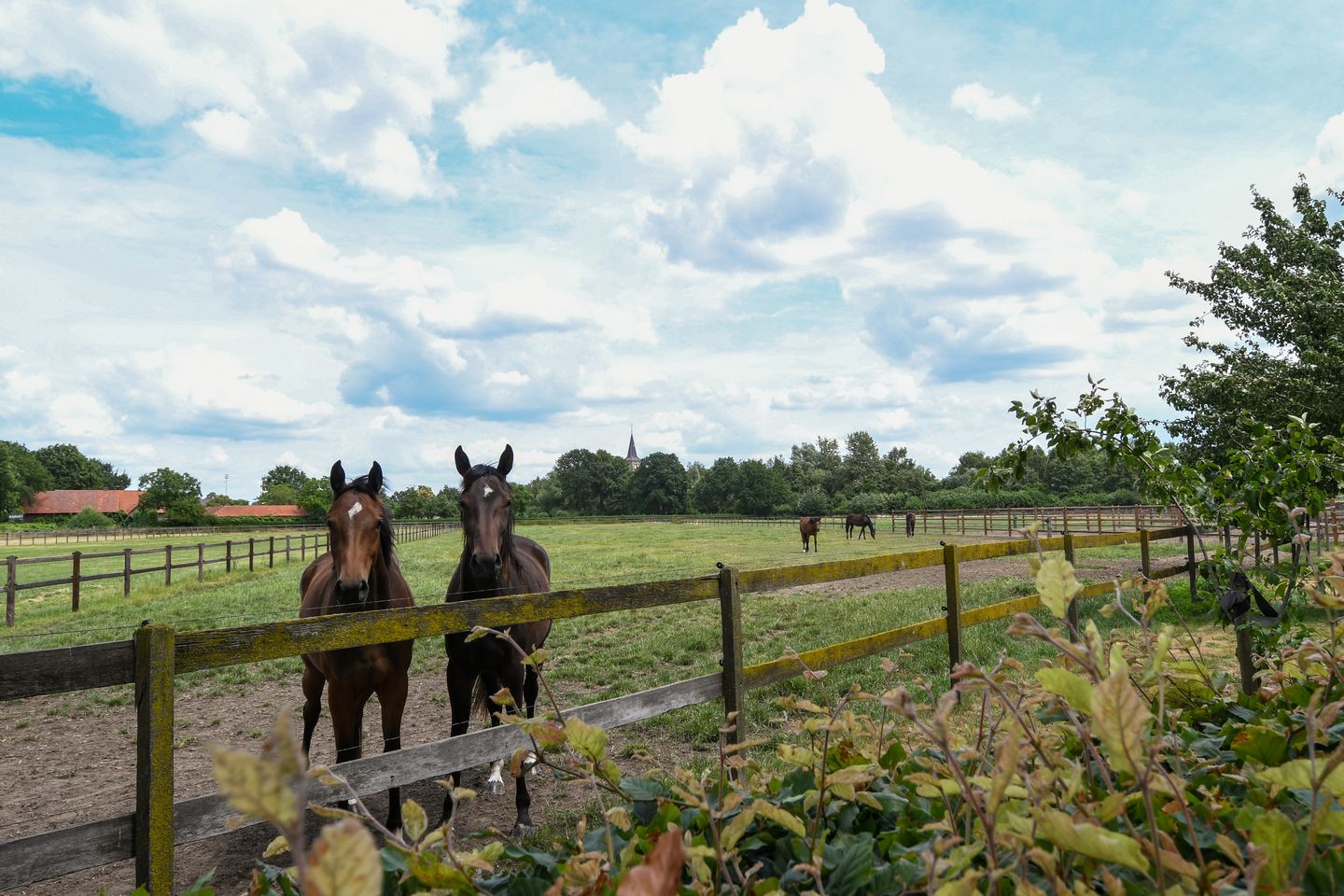 Foto 40 van Eikesstraat 43