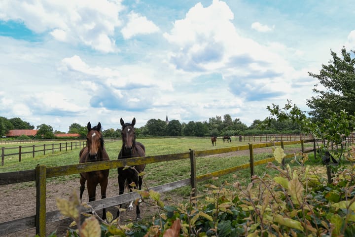 Foto 40 van Eikesstraat 43