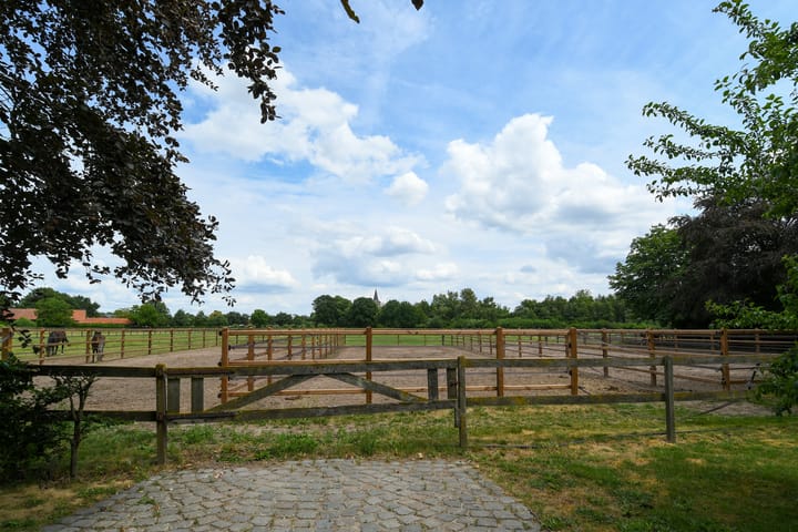 Foto 41 van Eikesstraat 43