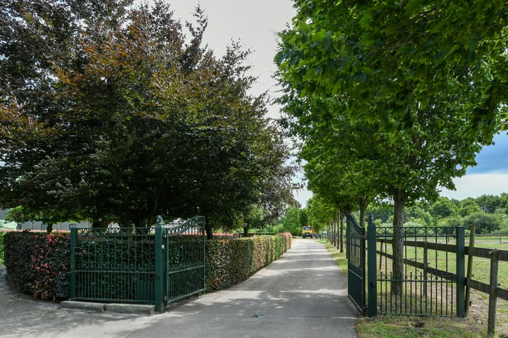 Foto 42 van Eikesstraat 43