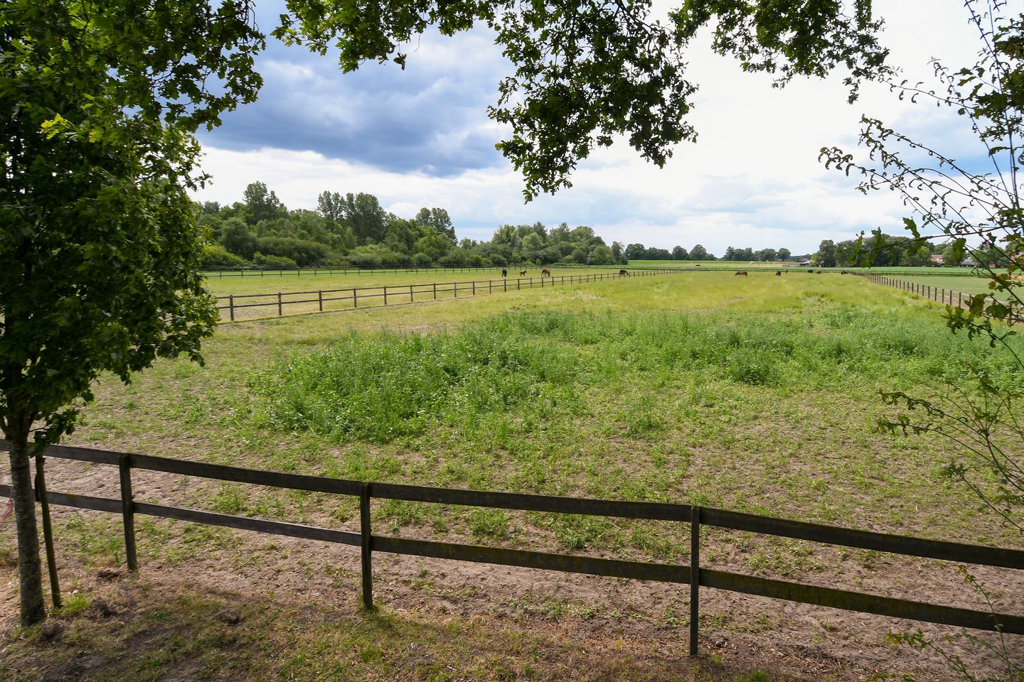 Foto 44 van Eikesstraat 43