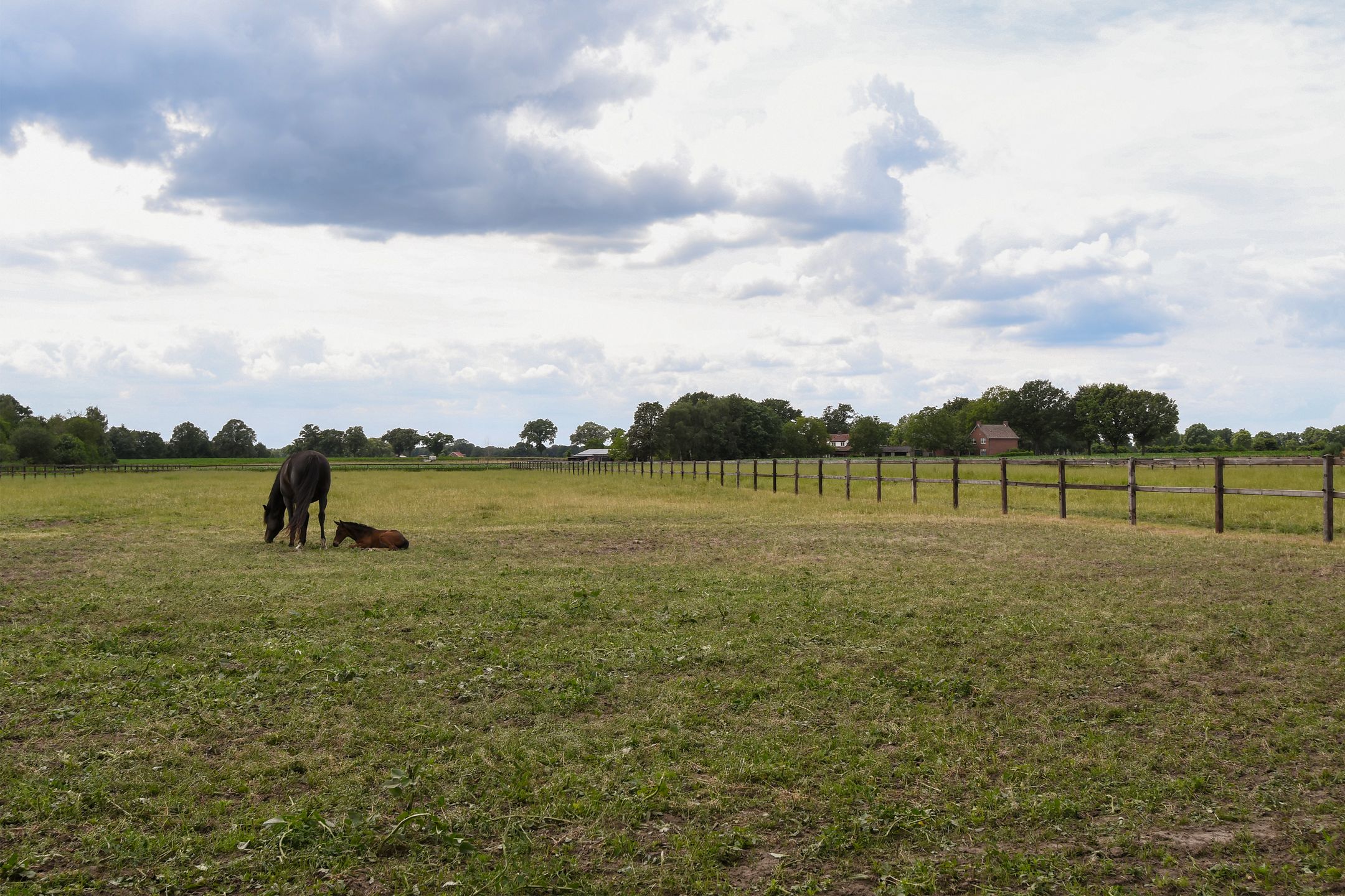 Foto 45 van Eikesstraat 43