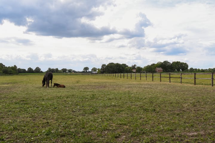 Foto 45 van Eikesstraat 43