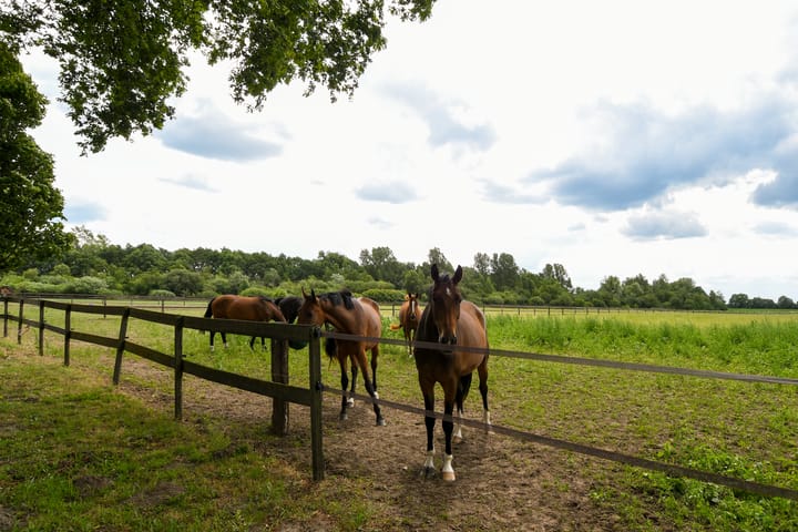 Foto 47 van Eikesstraat 43