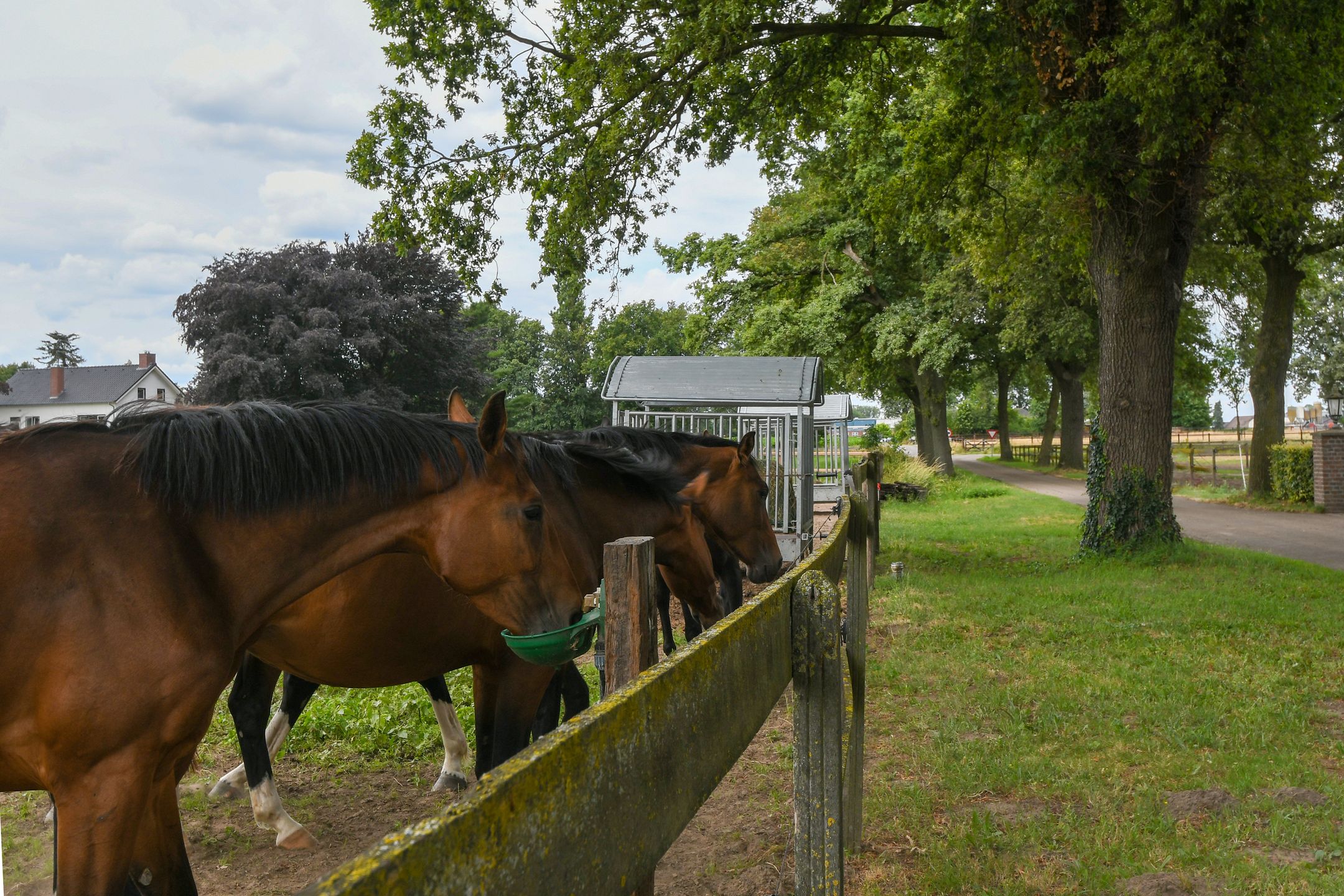 Foto 48 van Eikesstraat 43