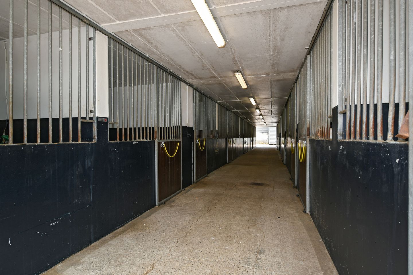 Foto 55 van Eikesstraat 43