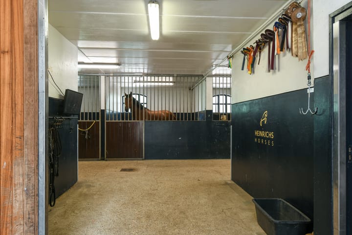 Foto 57 van Eikesstraat 43