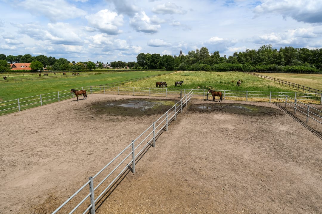 Foto 76 van Eikesstraat 43