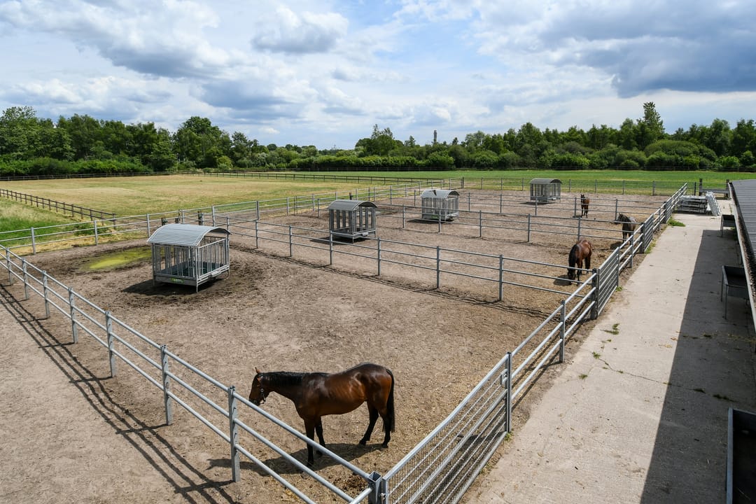 Foto 77 van Eikesstraat 43