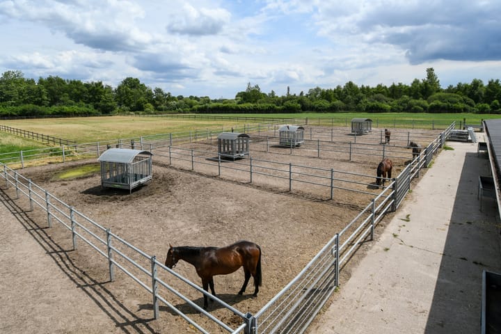 Foto 77 van Eikesstraat 43