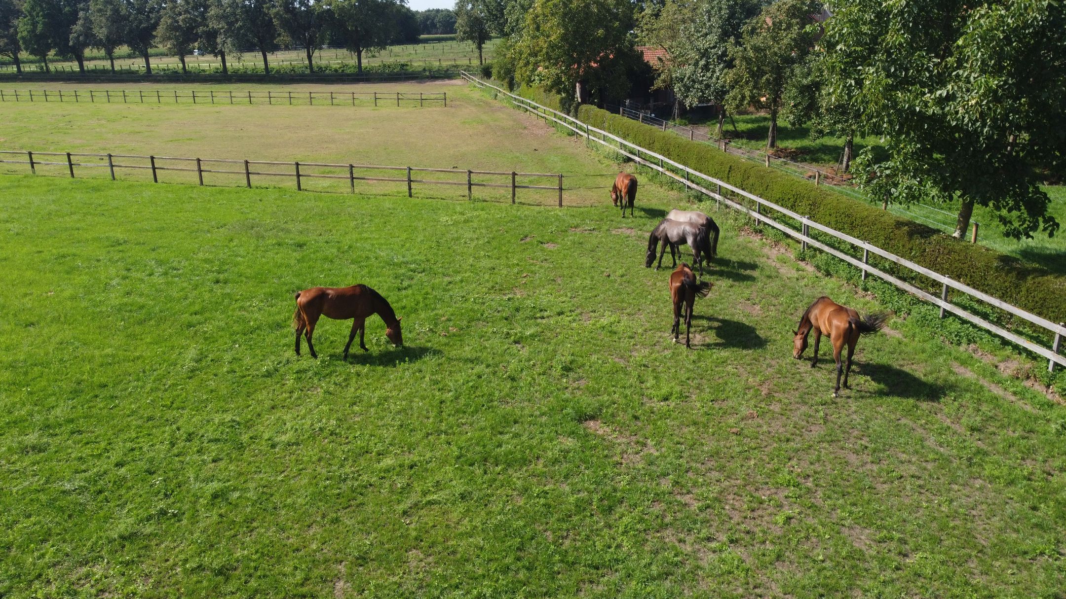 Foto 96 van Eikesstraat 43