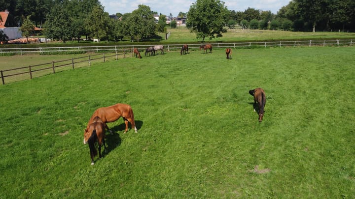 Foto 97 van Eikesstraat 43