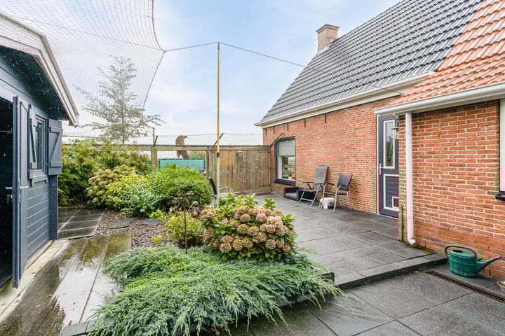 Photo 36 of Bantswei 9