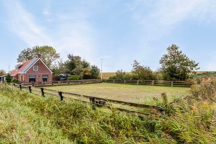 Photo 46 of Bantswei 9