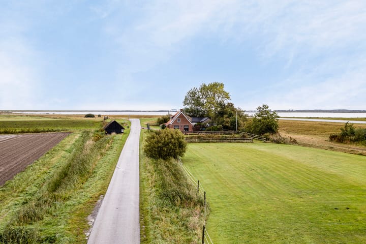 Photo 48 of Bantswei 9