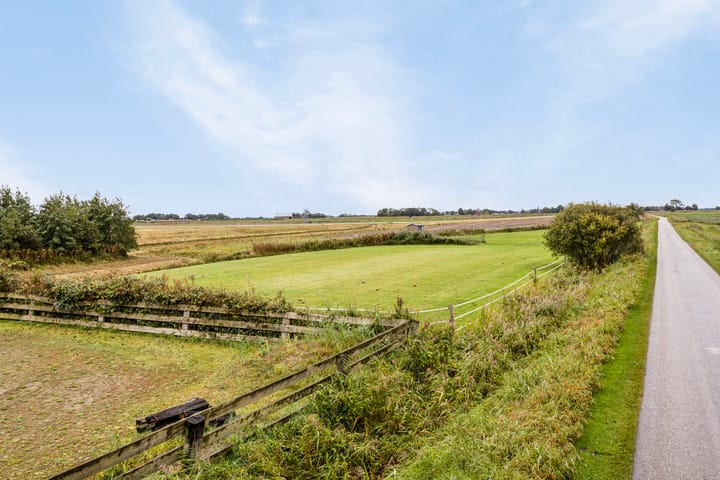 Photo 49 of Bantswei 9