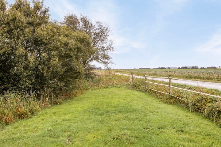 Photo 50 of Bantswei 9