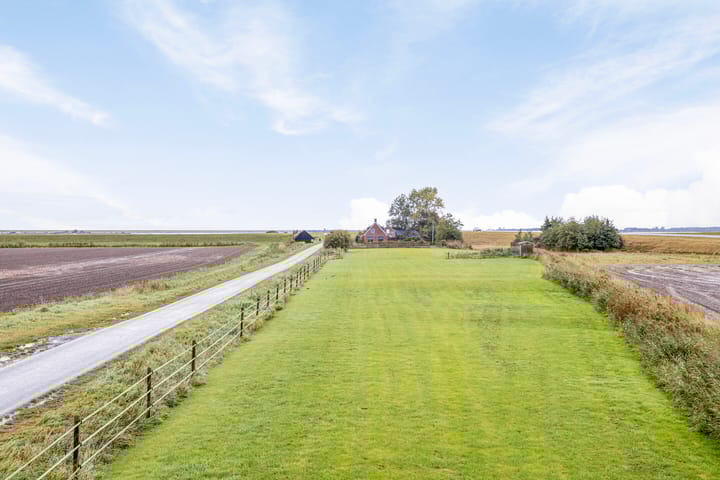 Photo 51 of Bantswei 9