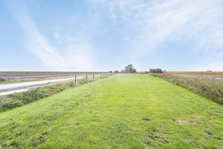 Photo 52 of Bantswei 9