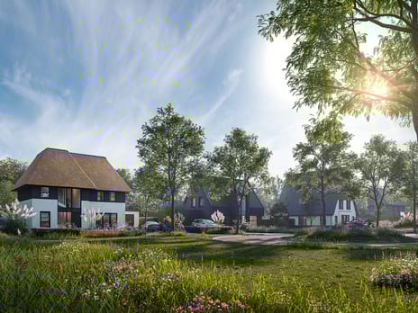 LOOV - Overgooi main image