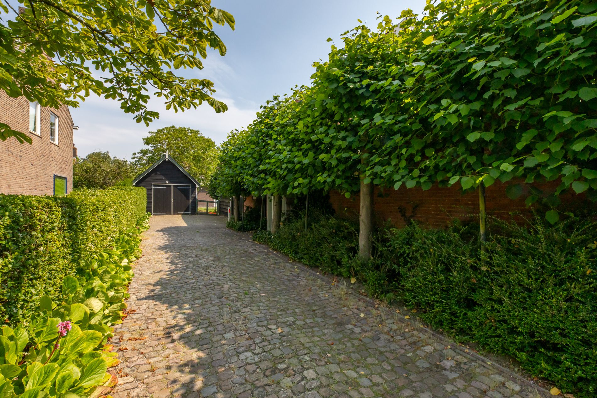 Foto 48 van Tramstraat 41