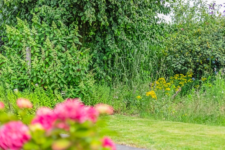 Foto 50 van Bornsestraat 174