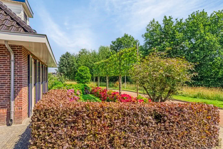 Bekijk foto 2 van Weidelanden 38