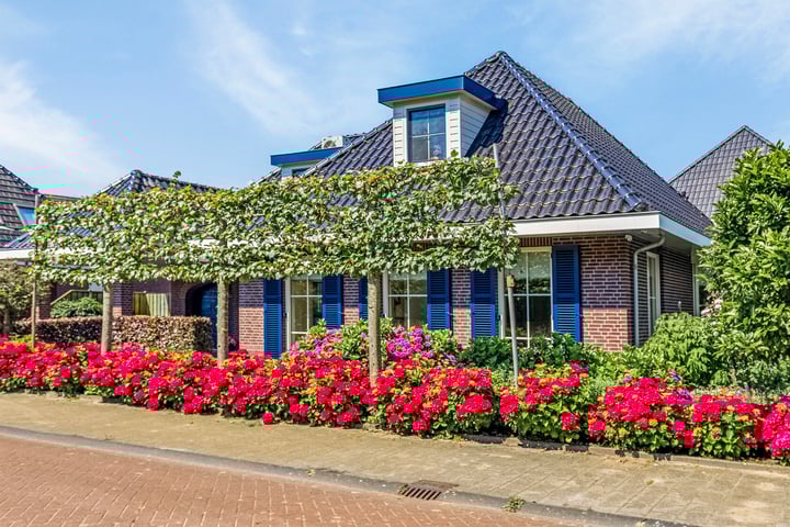 Bekijk foto 3 van Weidelanden 38