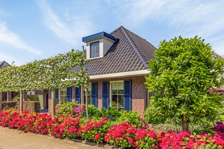 Bekijk foto 4 van Weidelanden 38