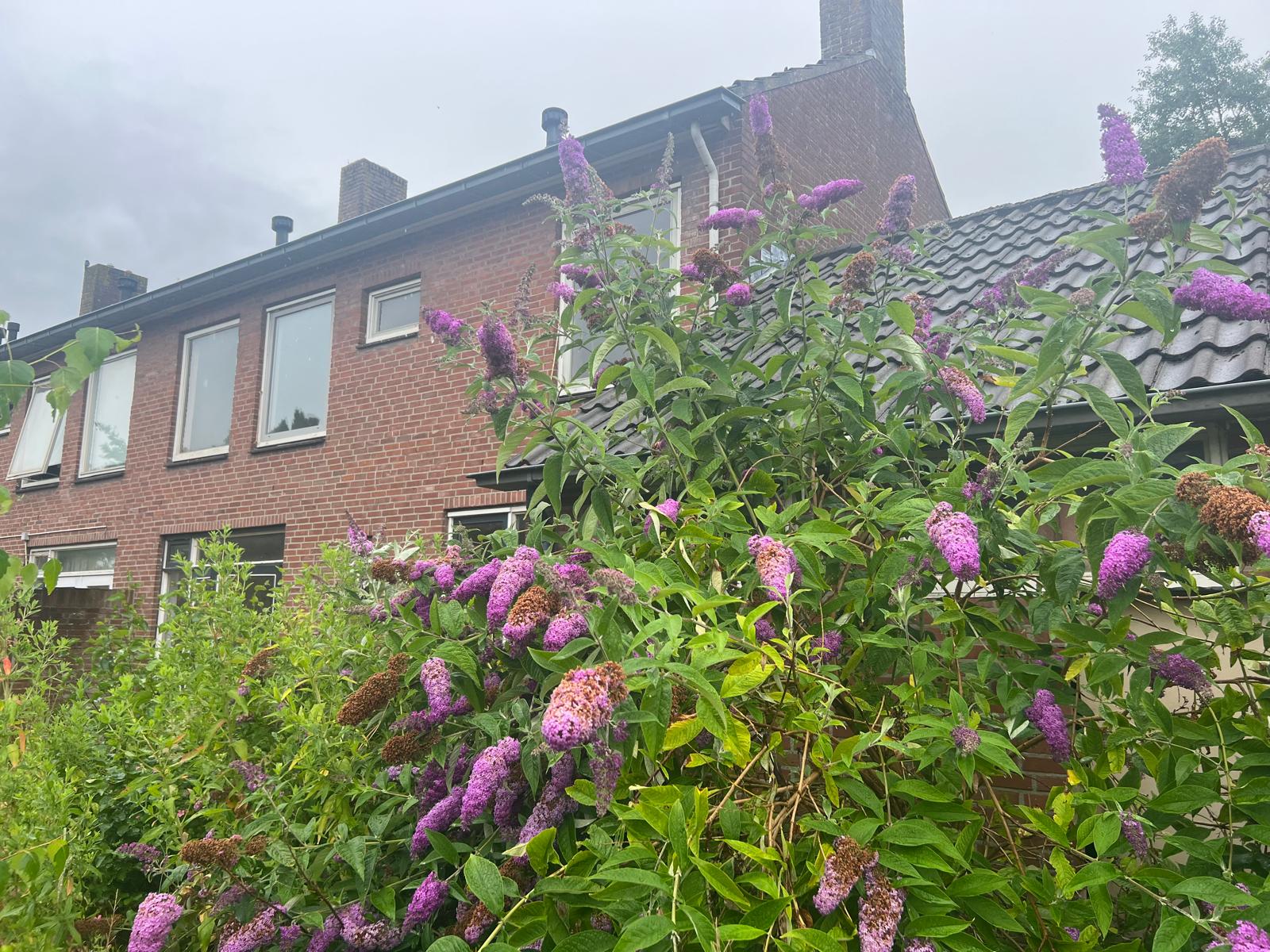 Photo 6 of Kerkstraat 44